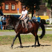 Наездница :: Вячеслав Минаев