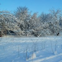 ОКРЕСТНОСТИ :: Виктор Осипчук