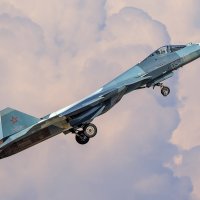 Т-50 :: Владислав Перминов