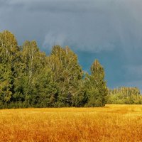 Уж небо осенью дышало :: Дмитрий Конев