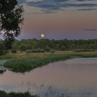 Вот  и  луна. :: Валера39 Василевский.