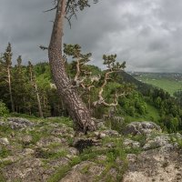 Кавказский биосферный заповедник :: Аnatoly Gaponenko