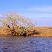 деревенская осень :: Ильгам Кильдеев