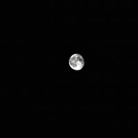 первая луна :: Grishkov S.M.