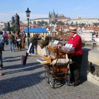 Карлов мост. Вечный музыкант... Он там уже лет сто )) :: Ирина Румянцева