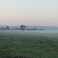 Рассет :: Владимир Красевский