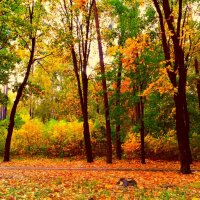 Лес, точно терем расписной, Лиловый, золотой, багряный.... :: Ангелина Хасанова