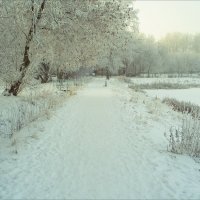 Зима :: Сергей Котусов