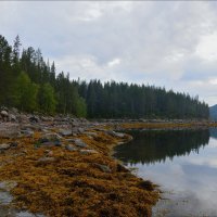 "Колвицкая губа".Залив Белого моря. :: Юра Степнов