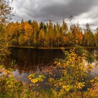 Югорский осенний мотив :: Георгий Кулаковский