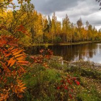 Парад осени :: Георгий Кулаковский