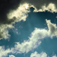 Морской конёк из облака :: Юлия Жогина