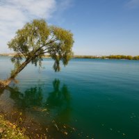 Водоем. :: Виктор Гришенков