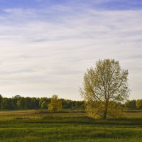 Осенняя пора. :: юрий Амосов