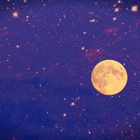полная луна :: Alla Kachuro