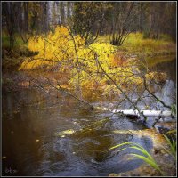 Течет вода... :: Василий Хорошев