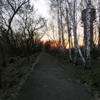заброшеный парк :: Василий Щербаков