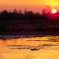 закат на заброшенном озерце.. :: Alla Kachuro