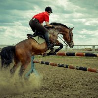конный спорт :: Наталья Grass