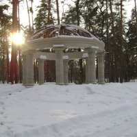 Зимний парк г. Буча (Украина) :: Антонина Ягущина