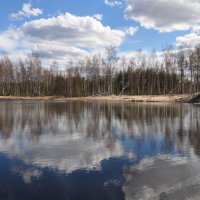 Лесное озеро :: Диана Задворкина