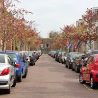 Delft Koningine dag :: Zlata Charskaya