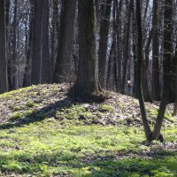 Курган :: Владимир Белов