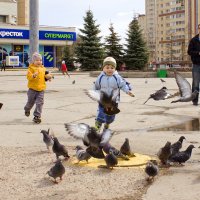 Голуби :: Наталья Боярко