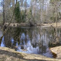 весна :: Борис Устюжанин