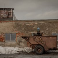 Коровник в зыбино :: Владимир Егоров