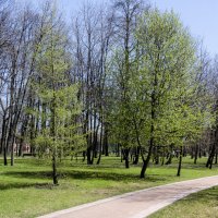 Весна :: Владимир Белов