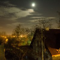 Лунная ночь :: Антонина Ягущина