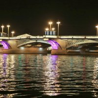Мост Санкт-Петербурга :: Андрей 
