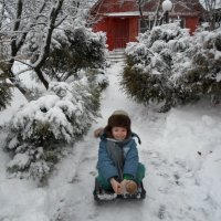 Первый снег. :: Татьяна Пушкина 