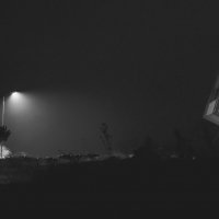 ночной туман :: Karina Istomina