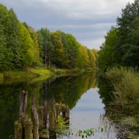 р. Сережа Нижегородской области :: Роман Царев