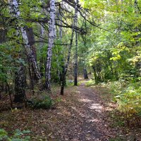 День бабьего лета :: Александр Садовский