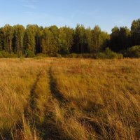 Вижу чудное приволье :: Андрей Лукьянов