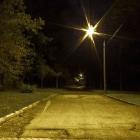 ночное фото парка Горького,Минск :: Алексей Носков