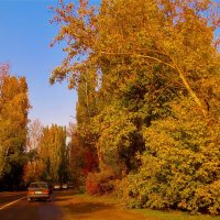 Осенняя дорога... :: евгения 