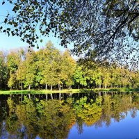 городской парк :: Александр Моднов