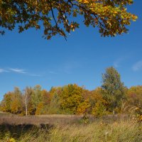 Природа Нижегородской области :: Роман Царев