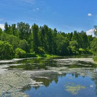 Пруд :: Александр Гурьянов