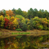 palette of autumn :: Zinovi Seniak