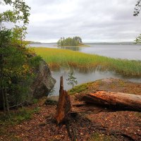 Пейзаж :: Александр 