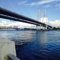 Вантовый мост :: Егор 