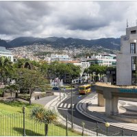 Madeira with love. :: Jossif Braschinsky