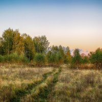 В поле :: Иван Анисимов