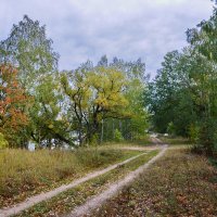 Осень. :: Валера39 Василевский.