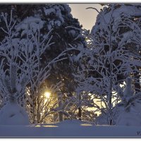 Ещё не вечер :: Василий Хорошев